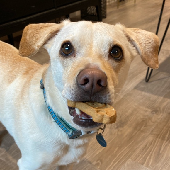 Jayma_c is going live!!! - Picture 2 of 10